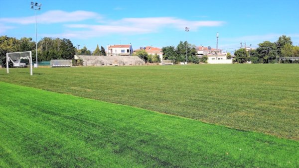 Πρόβατα έφαγαν το γκαζόν σε ποδοσφαιρικό γήπεδο: «Αφήνουν τα ζώα τους ανεξέλεγκτα»