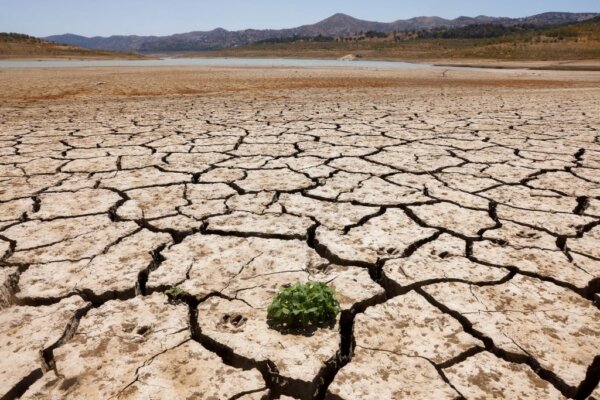 Ερημοποίηση για το 30% των εδαφών της Θεσσαλίας – Η ξηρασία πλήττει την παραγωγή