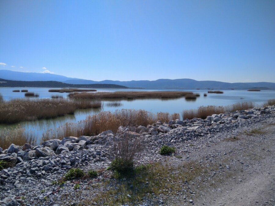 Υπόλογη στους γεωργούς της περιοχής της Κάρλας η Περιφέρεια Θεσσαλίας