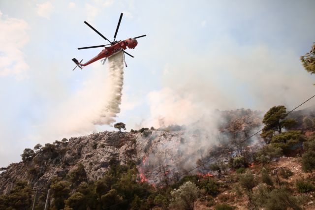 Πυρκαγιά σε δασική έκταση του Ολύμπου στο Λιτόχωρο Πιερίας – Σε εξέλιξη η επιχείρηση κατάσβεσης