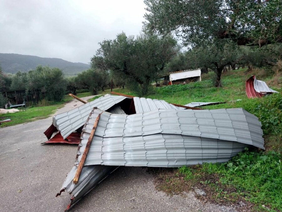 Προβλήματα από τους ισχυρούς ανέμους τη νύχτα – 60 κλήσεις στην Πυροσβεστική για κοπές δέντρων σε Θεσσαλία, Ήπειρο και Στερεά Ελλάδα