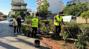 Εκατόν σαράντα νέα δένδρα στην πλατεία Αγίων Αναργύρων στην Παλαιά Κοκκινιά από τον Δήμο Πειραιά