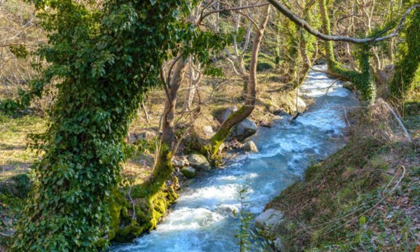 Μόλις δύο ώρες από την Αθήνα: Φθινοπωρινή απόδραση στο πιο γραφικό χωριό του Παρνασσού