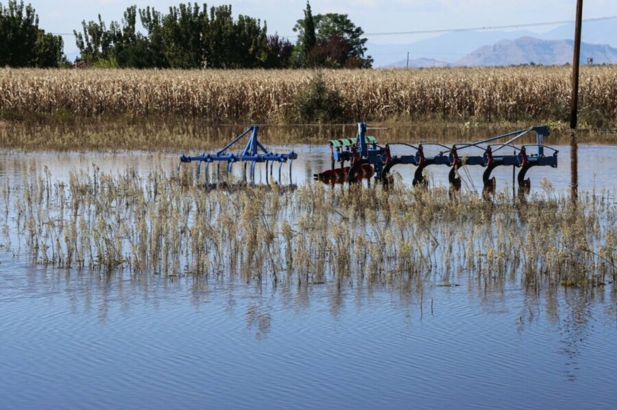 ΕΛΓΑ: Την Παρασκευή οι αποζημιώσεις 1,2 εκατ. ευρώ για τις κακοκαιρίες Daniel-Elias