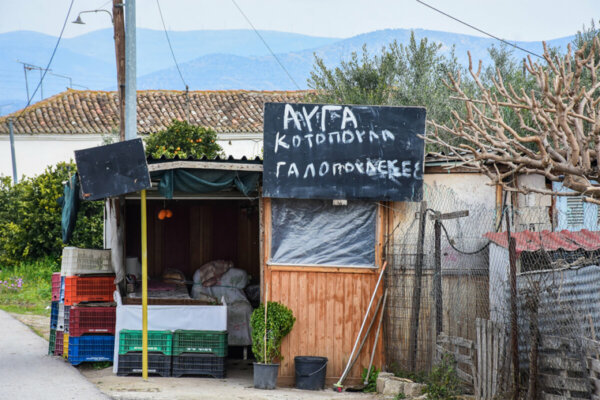 Ελεύθερη η 72χρονη που κατηγορείται για τον θάνατο 50χρονου ληστή σε χωριό του Ναυπλίου