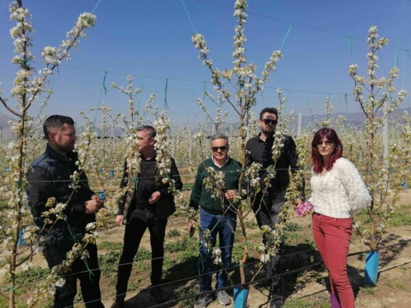 Πολύ σοβαρές ζημιές από τον παγετό έδειξε η πρώτη αυτοψία που έγινε από τον αντιπεριφερειάρχη Α’γενους Τομέα στο ν. Λάρισας